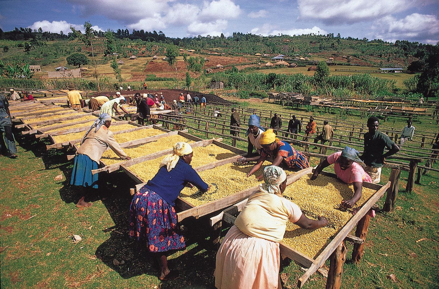 A county forum meeting